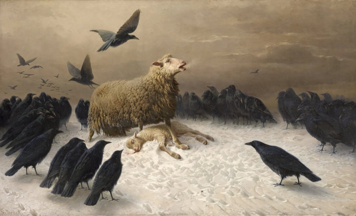 Angoixa — August Friedrich Albrecht Schenck